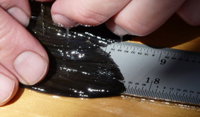 Measurement: an up-close look. (2008)